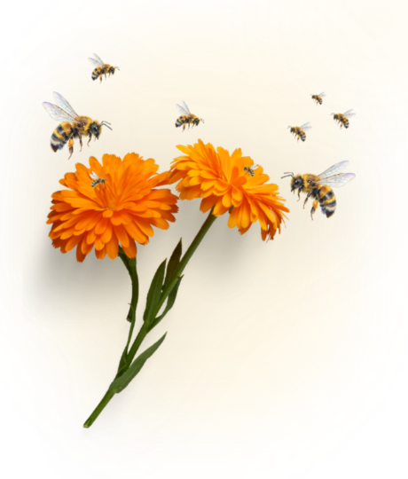 True Daddy Organic Honey Wildflower Meadows and Flying Bees