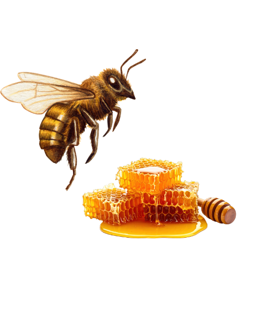 True Daddy Organic Honey â€” Purity & Origin Promise